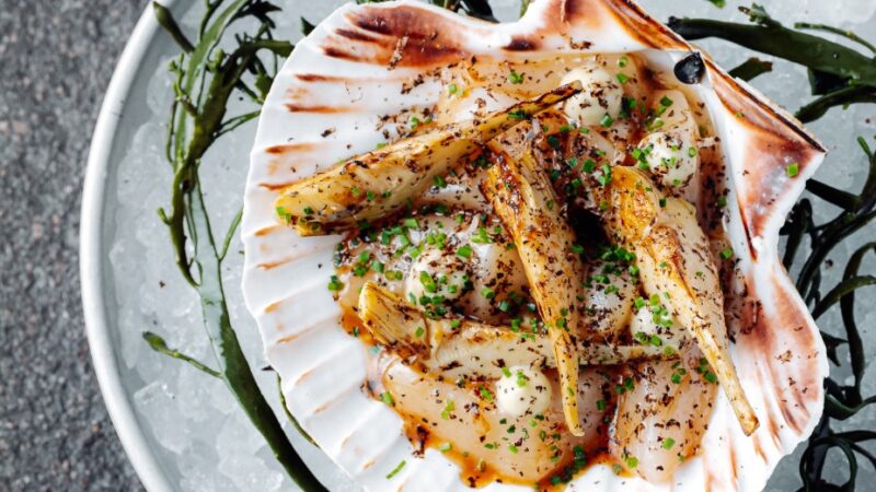 WhatsApp Image 2025-11-15 at 14.23.20